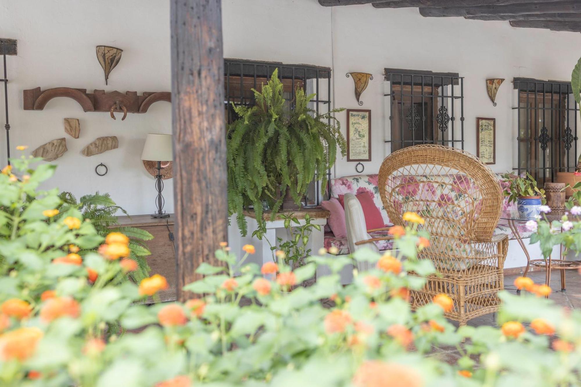 La Cuadra, Finca A Los Pies De Sierra Nevada, A 10 Minutos Del Centro, Piscina, Jardin, Barbacoa 라 수비아 외부 사진