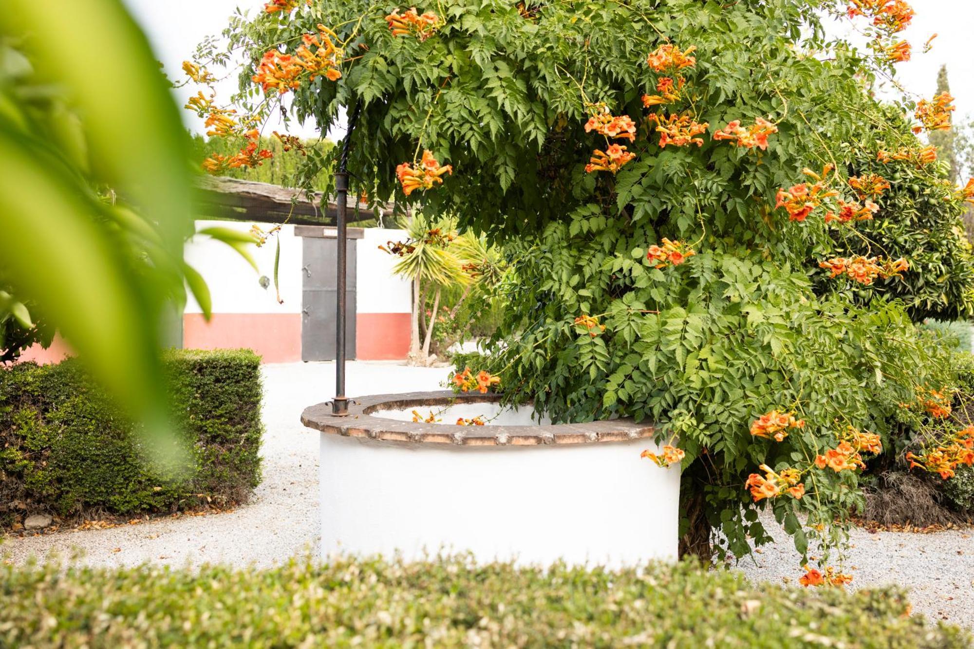 La Cuadra, Finca A Los Pies De Sierra Nevada, A 10 Minutos Del Centro, Piscina, Jardin, Barbacoa 라 수비아 외부 사진