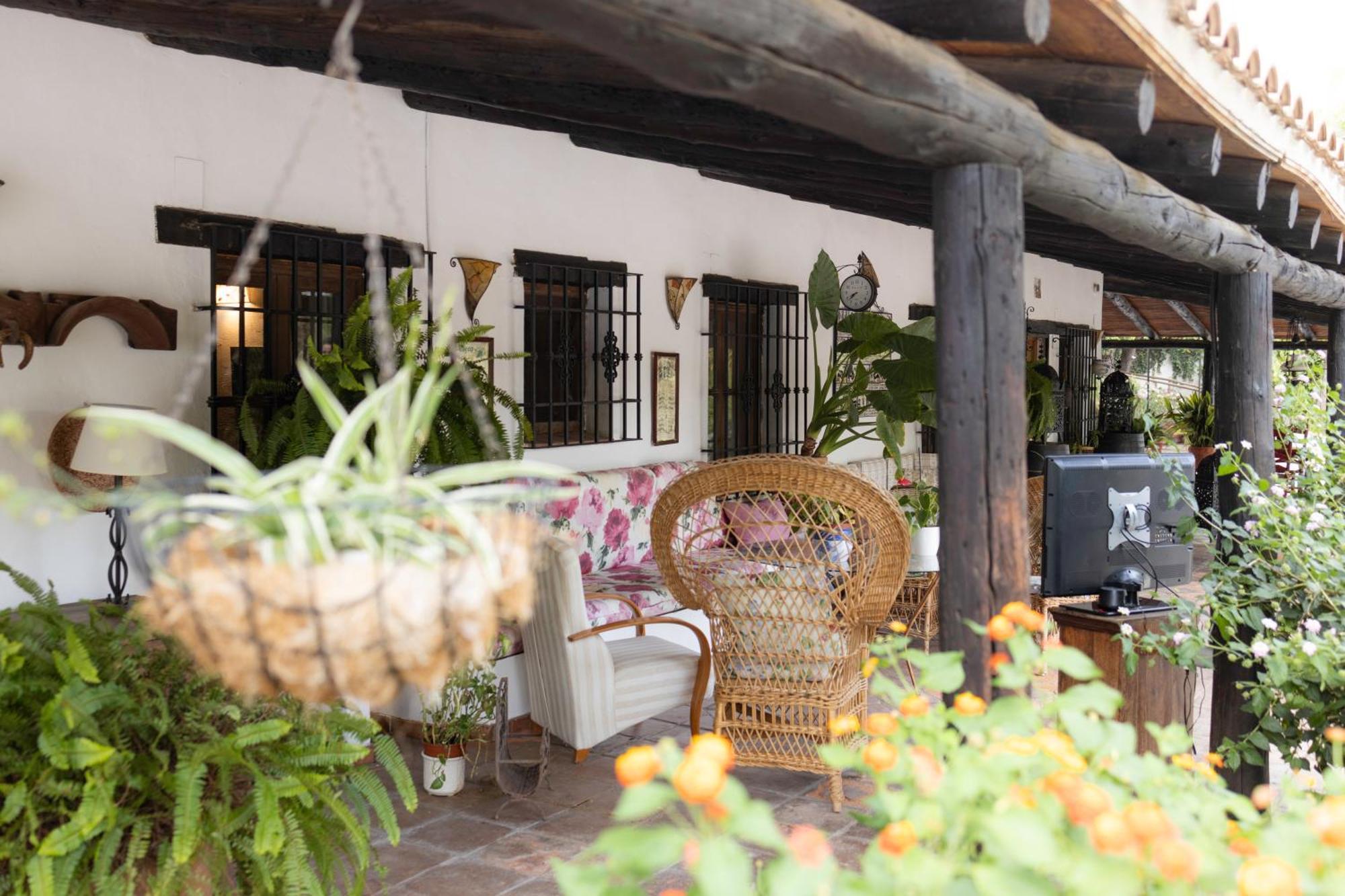 La Cuadra, Finca A Los Pies De Sierra Nevada, A 10 Minutos Del Centro, Piscina, Jardin, Barbacoa 라 수비아 외부 사진