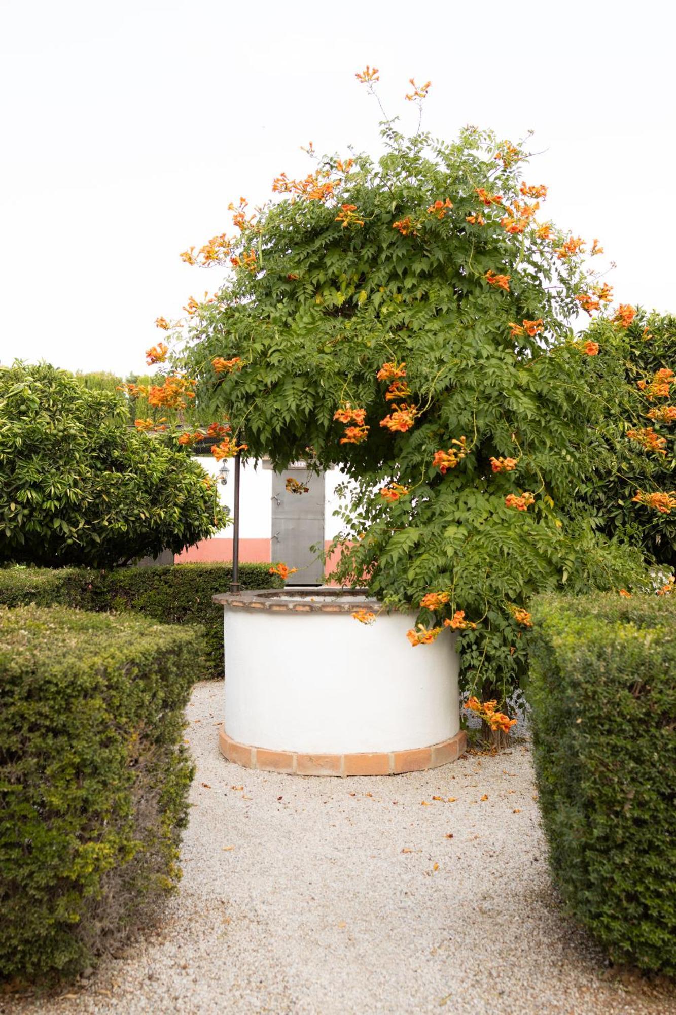 La Cuadra, Finca A Los Pies De Sierra Nevada, A 10 Minutos Del Centro, Piscina, Jardin, Barbacoa 라 수비아 외부 사진